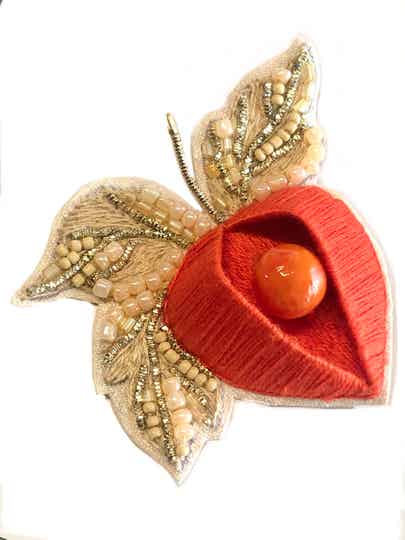 Physalis