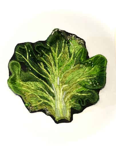 Feuille de laitue