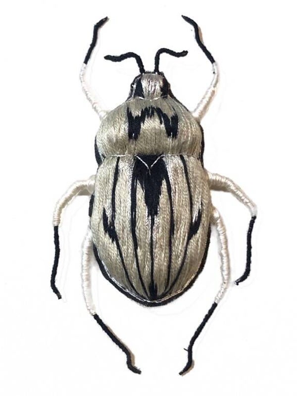 Scarabée