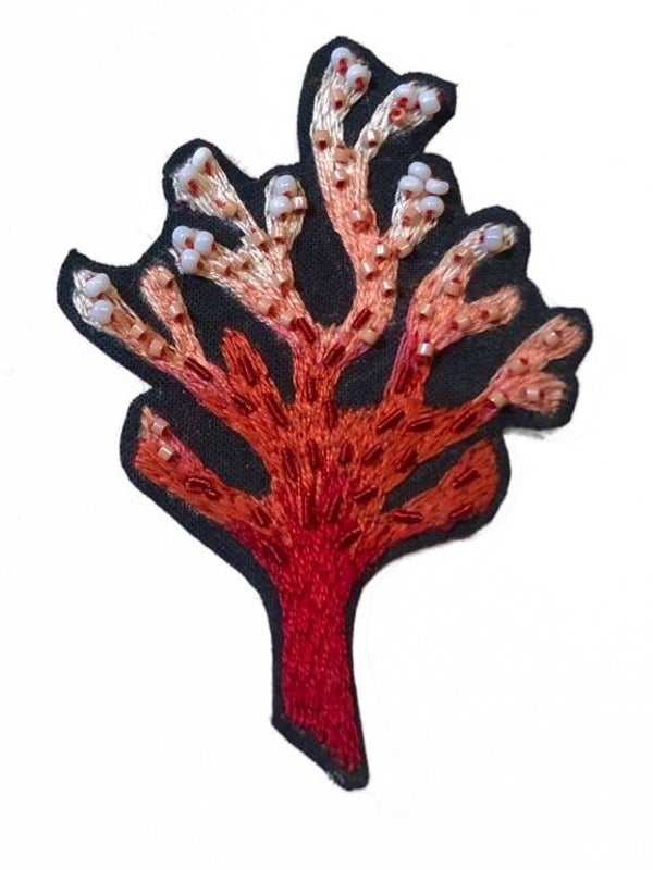 Corail