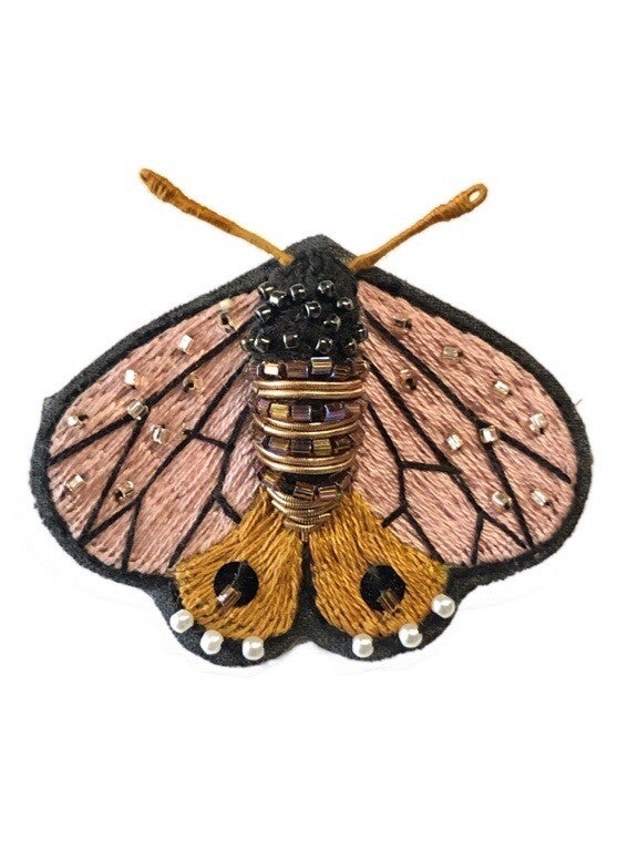 Papillon de nuit