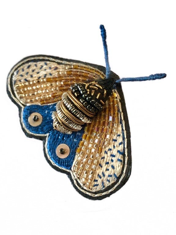 Papillon de nuit