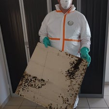 Intervention 3D2P COMPANY suite à une infestation de nuisibles à Saumur