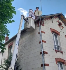 Traitement par pulvérisation contre les frelons et guêpes 3D2P COMPANY
