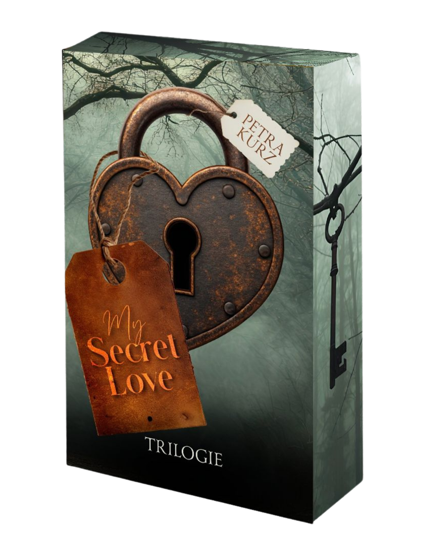 My Secret Love - Sammelband mit Farbschnitt & Innencover