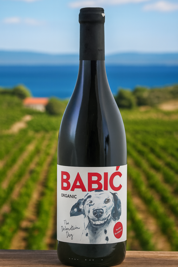 Familija Babic The Dalmatian Dog