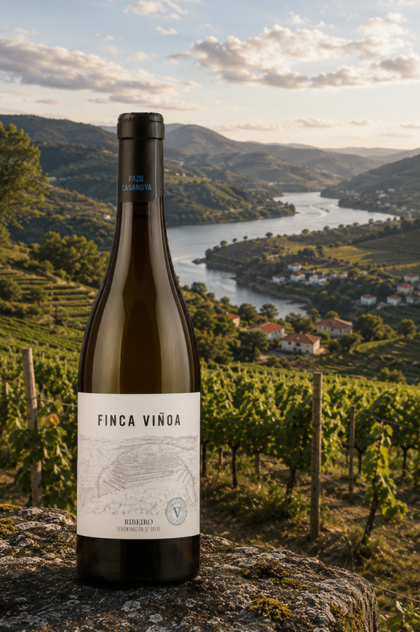 Pazo Casanova Treixadura Finca Viñoa Ribeiro