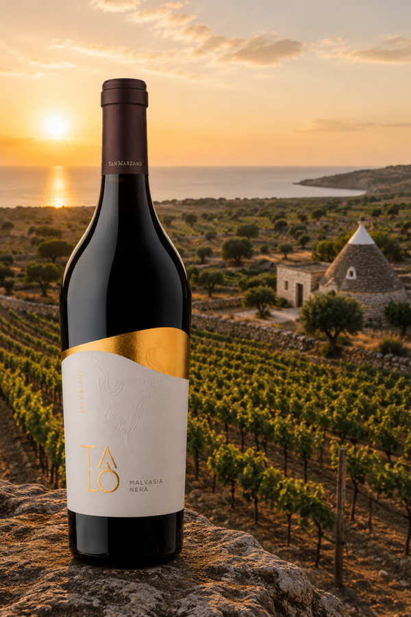 San Marzano Talò Malvasia Nera Salento IGP
