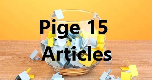 Pige à 15 articles