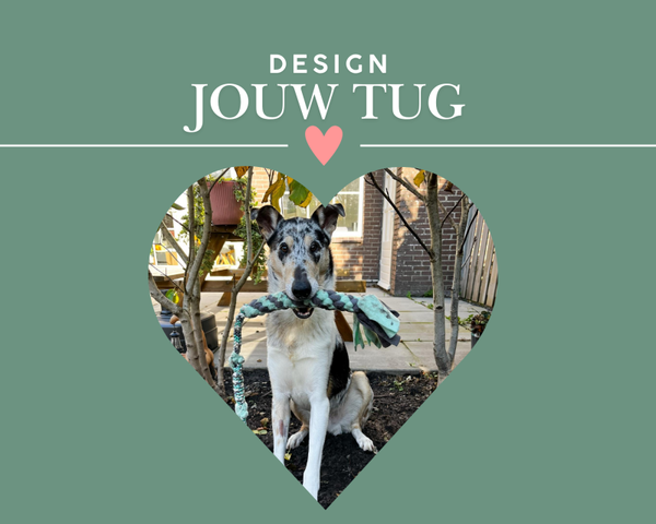 Design a tug - Bungeetug Boeven en Krachtpatsers