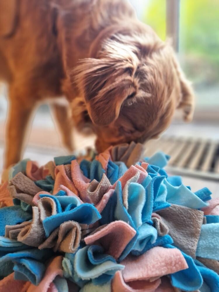 Hond snuffelt aan snuffelmat