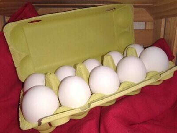 Eier Abo Mai Donnerstag