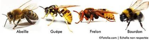 REPOUSSE NUISIBLES VOLANTS puissant POUR LIEUX OUVERTS (*)