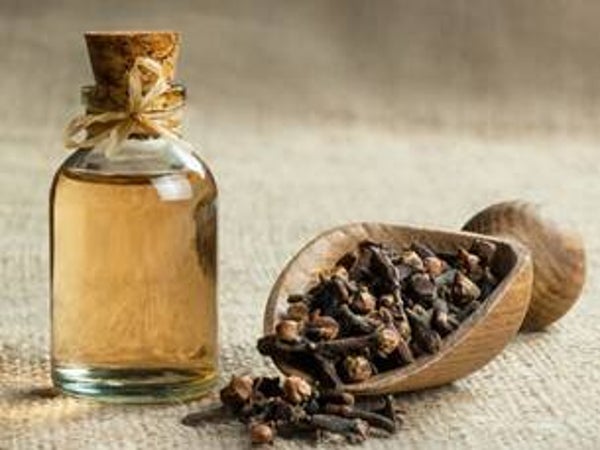 HUILE ESSENTIELLE 100% pure CLOU DE GIROFFLE