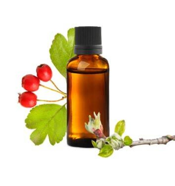 MACERAT HUILEUX AUBEPINE