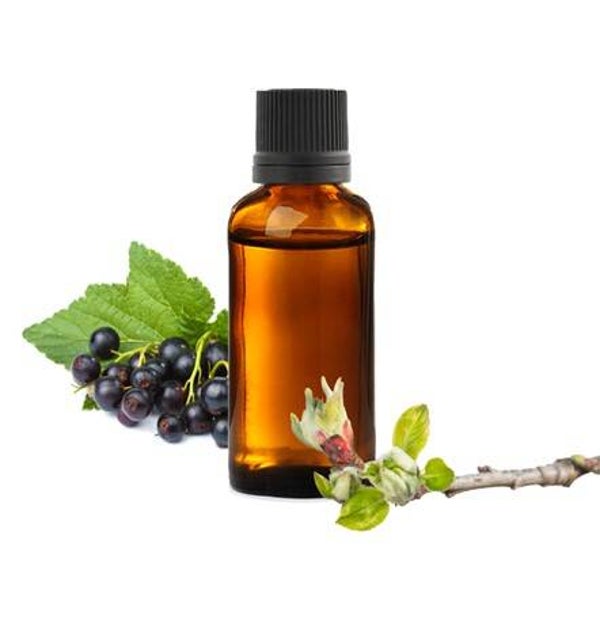 MACERAT HUILEUX CASSIS