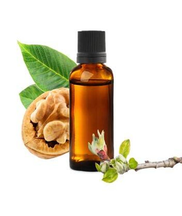 MACERAT HUILEUX NOYER