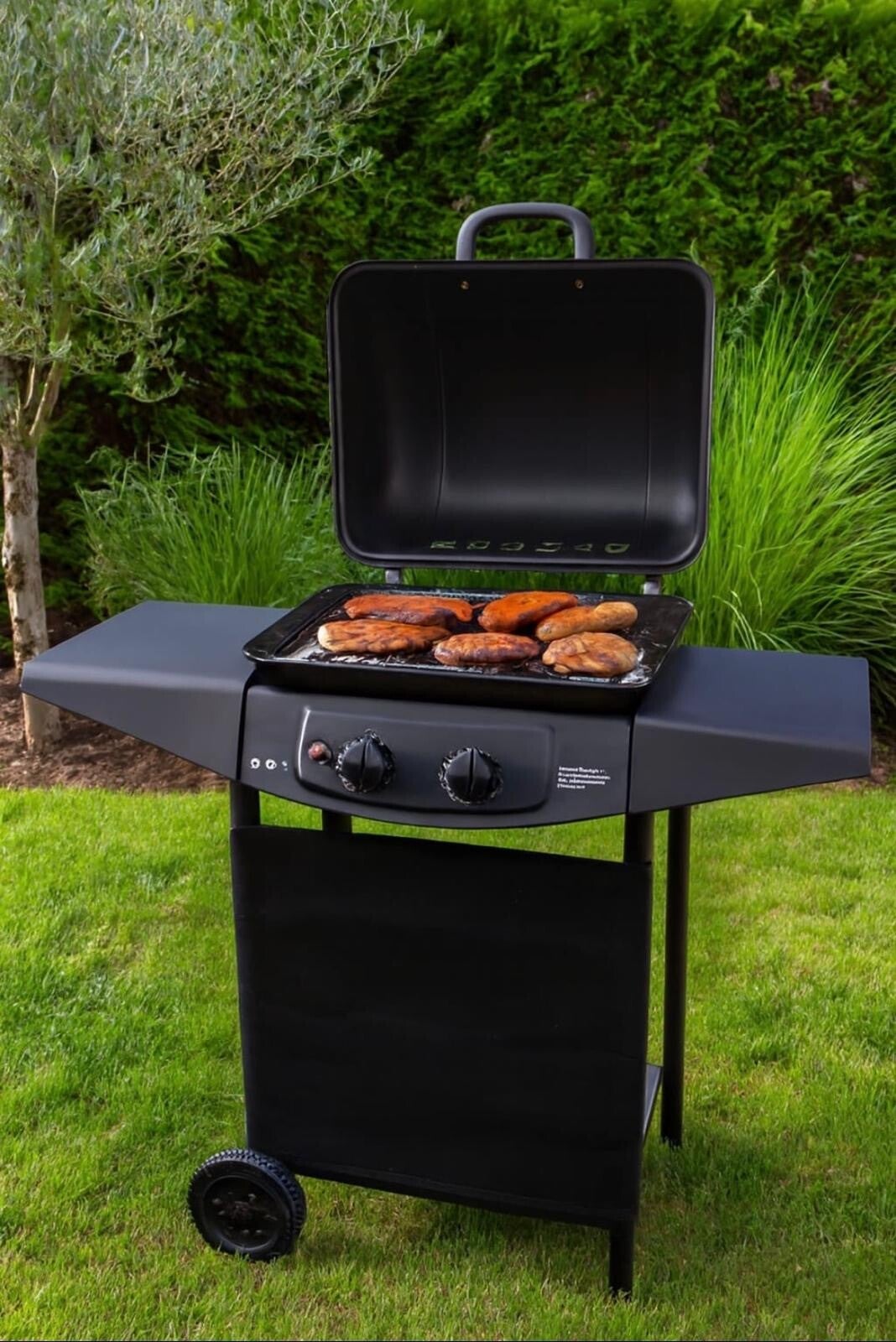 Barbecue elettrico