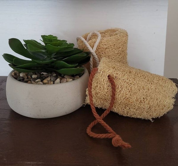 Luffa