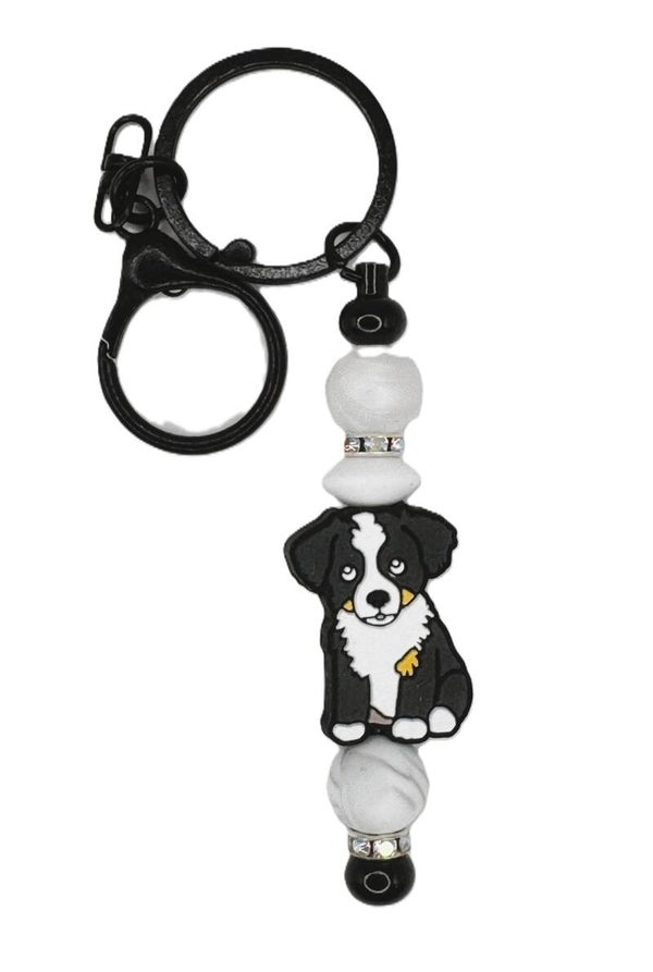 Hund Appenzeller 130