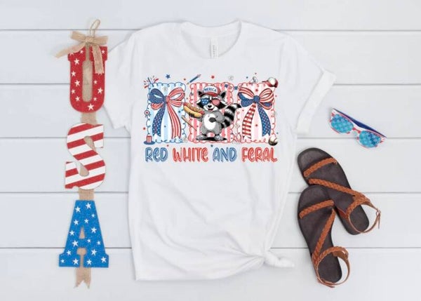 4th Of July W/ Raccoon Graphic T-Shirt