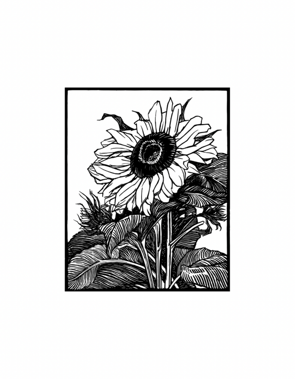 T-shirt Tournesol