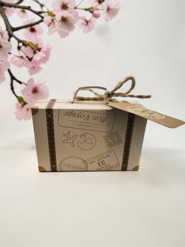 🎁 Mystery-Koffer – Die kleine Überraschung mit großem Zauber 🎁
