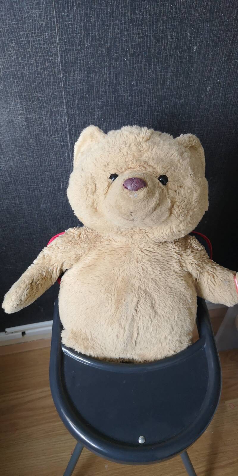 Eerste Minister Beer