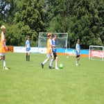 img_4737-standard.jpg
