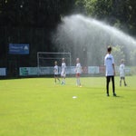 img_4931-standard.jpg