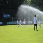 img_4932-standard.jpg