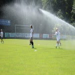img_4937-standard.jpg