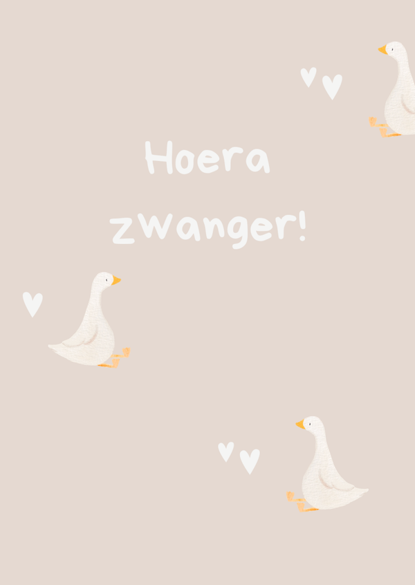 Hoera zwanger - Gansjes