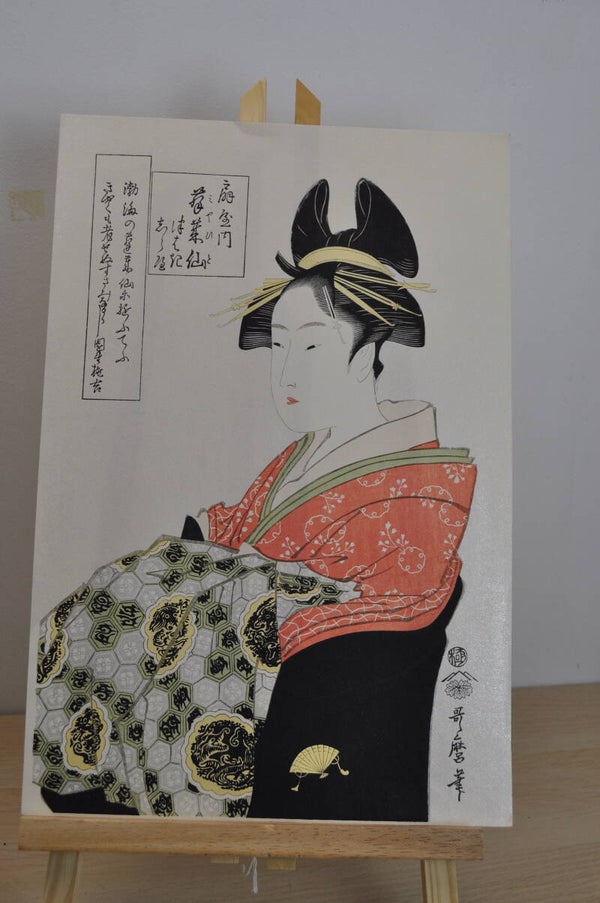 Takigawa van het thee huis Ogi