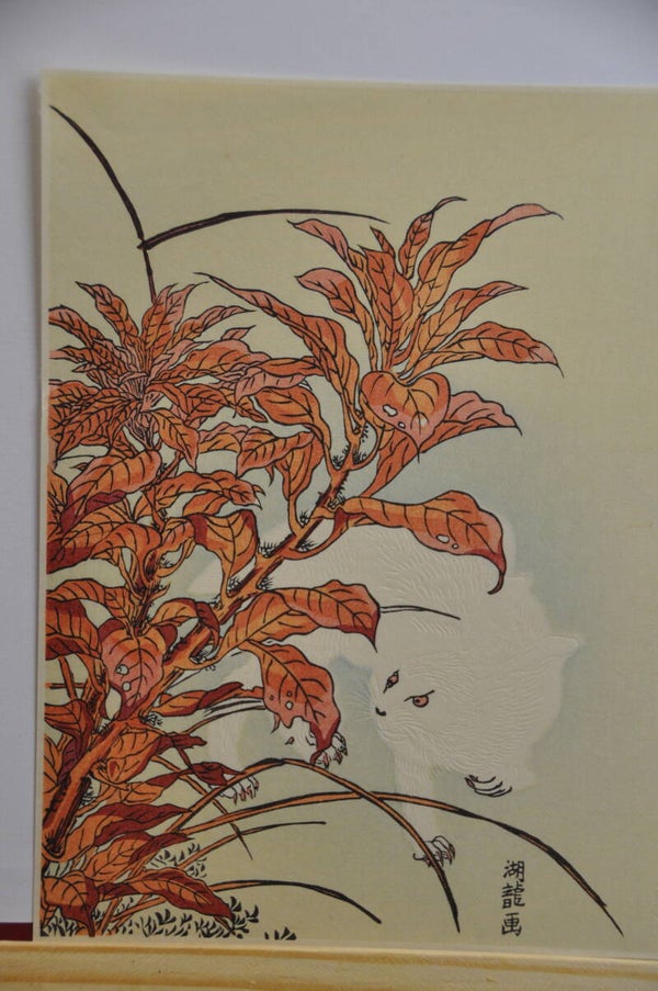 Amaranth and white hare