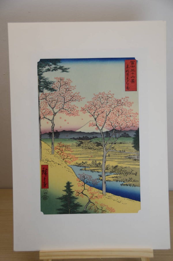 Musashi koshigaya zai,  36 views of Mt. Fuji