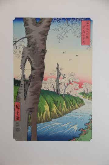 Koganei in Musashi Province