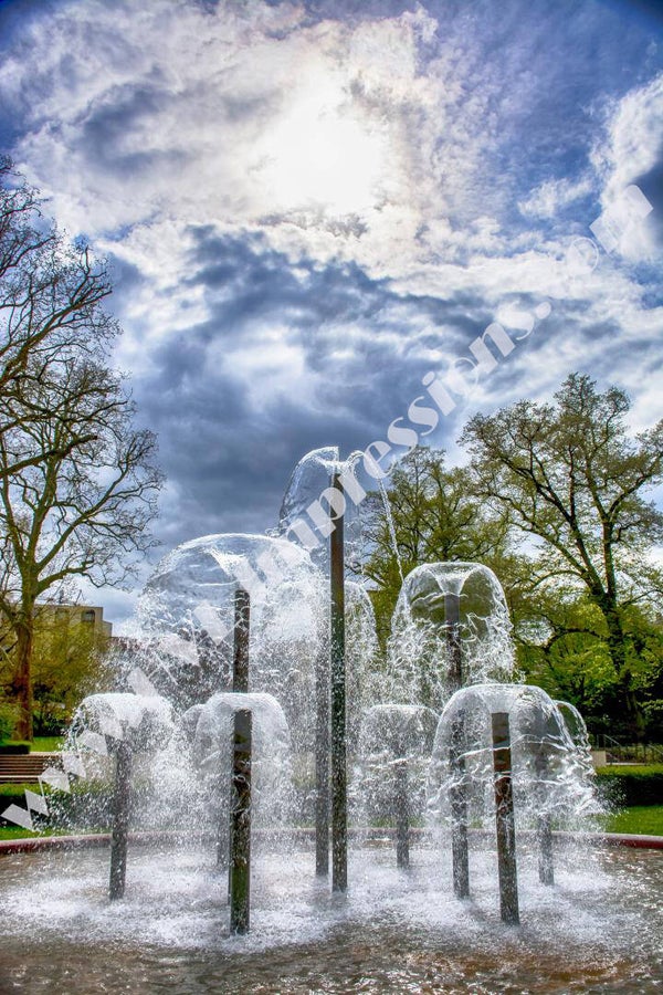 Elements, Hans Looij