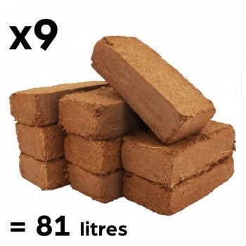 Bloc de fibre de coco x 9