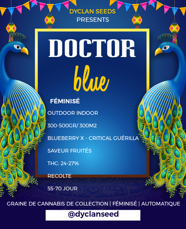 DOCTOR BLUE