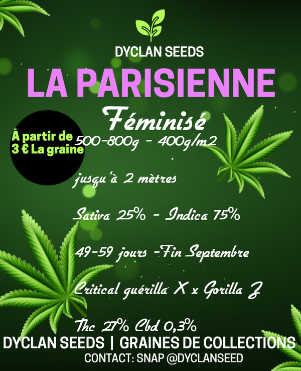 LA PARISIENNE