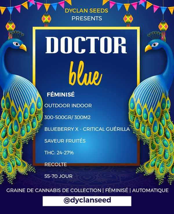 DOCTOR BLUE