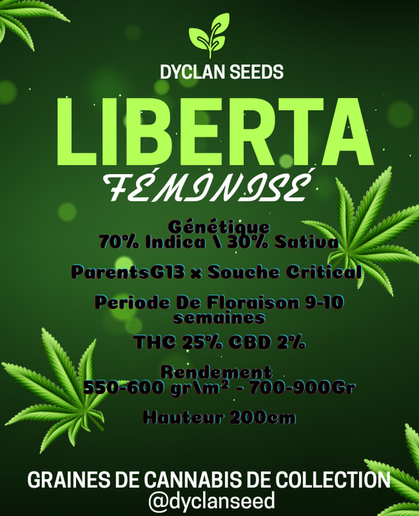LIBERTA