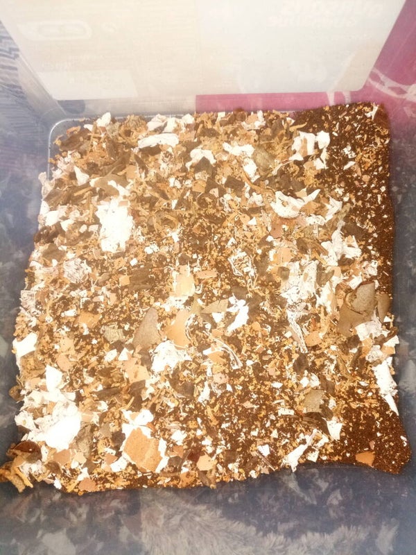 Engrais bio sec la recette de dyclan 1kg