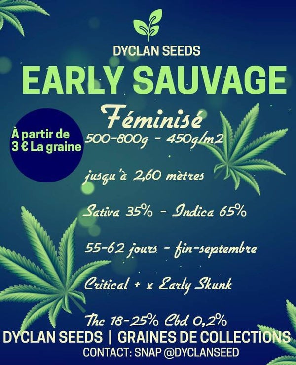 EARLY SAUVAGE