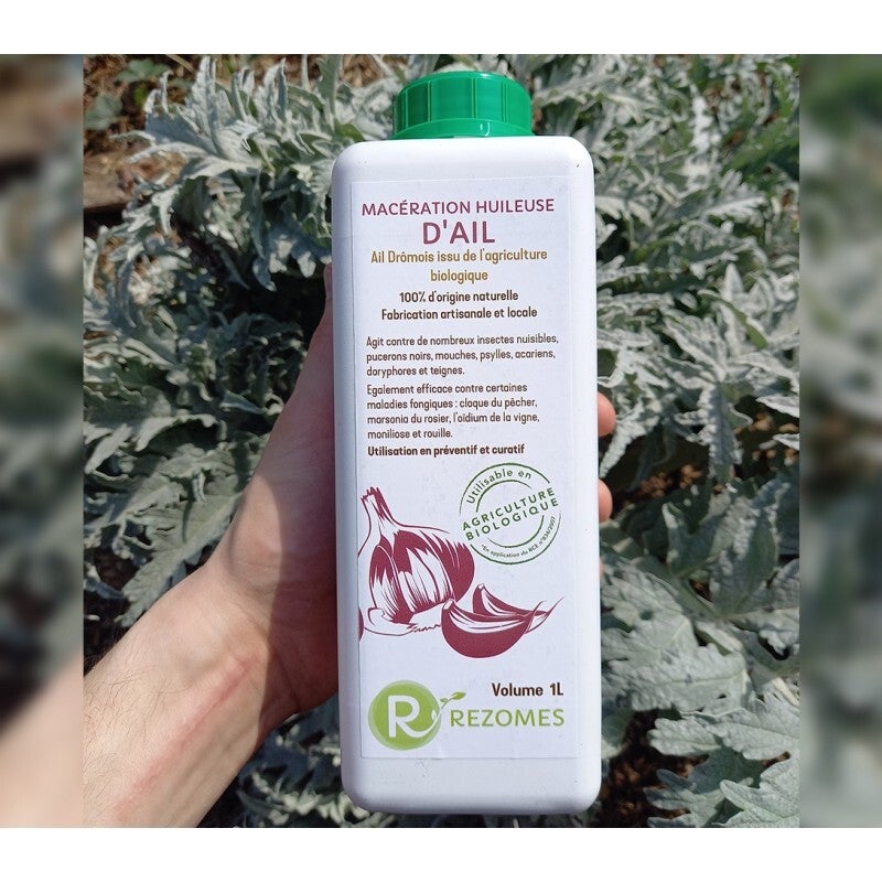 Decotion d'ail 1 litre