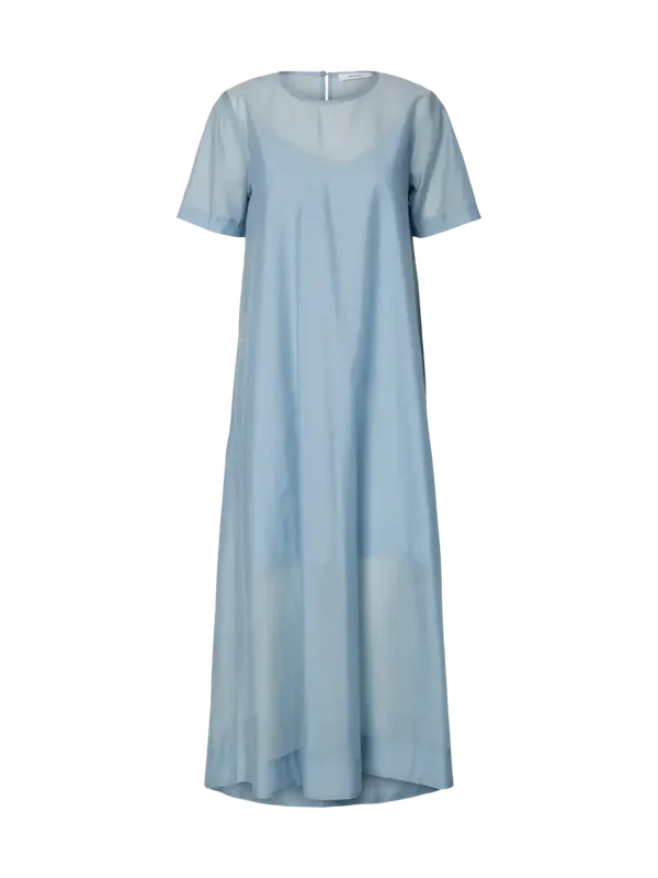 DRESS iris