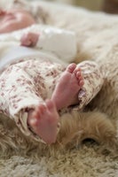 dsc00773.jpg