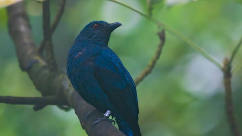 2025_01_10_9999_87-standard.jpg