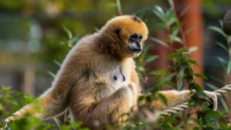 2026_09_28_9999_30-standard-nbna6t.jpg